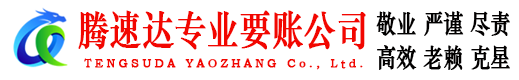 新泰腾速达要账公司